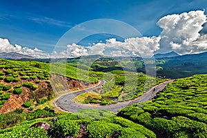 Road in tea plantations, India