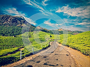 Road in tea plantations, India