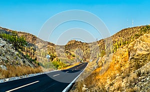 Road through the Tehuacan-Cuicatlan Biosphere Reserve in Mexico