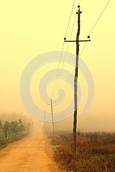 Road and telegraph pole photo