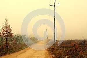 Road and telegraph pole