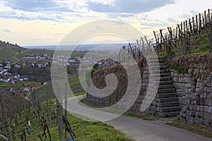 Road with terrace and steps on a vineyard in Baden-Wurttemberg, Germany