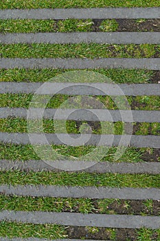 Road texture of stone and grass lines