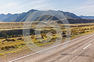 Road to Altai Mountains, Altai region, Siberia, Russia