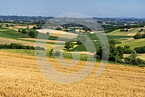 Road to Antignano and San Martino Alfieri, Asti, in Monferrato