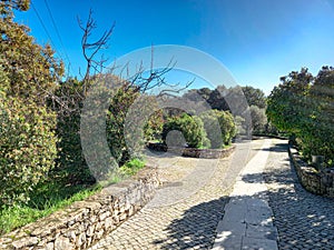 Road to the Arneiro\'s Well in Fatima