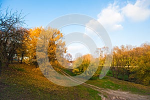 Road to the autumn forest. Autumn forest with country road. Colorful landscape with trees, rural roads, orange and red leaves, the