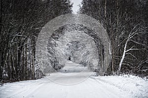 Road to a beautiful winter forest