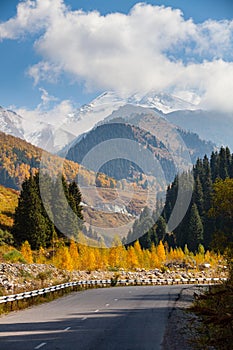 Road to the Big Almaty Lake. Golden autumn mixed forest (fir-trees, birches, pines) on hills in the Zailiyskiy Alatau