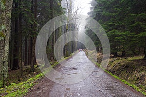 Road to BÅ‚Ä™dne SkaÅ‚y, Poland