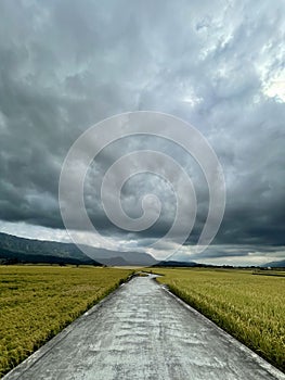 Road to the cloudy sky