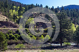 The road to Creede, Colorado, runs along the Rio Grande through the San Juan Mountains photo