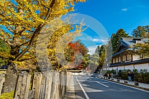 The Road to Danjo Garan Temple in Mt. Koya Area in Wakayama