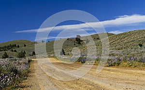 Road to the Flinders Ranges