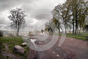 The road to the fog. Tver. Russia.