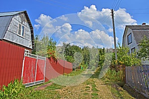 Road to the forest. countryside