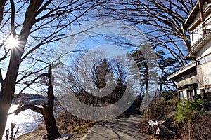 The road to the forest nearby Mt. Fuji, Japan