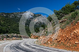 Road to the Forested Mountains