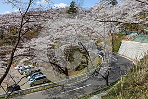 Road to Funaoka castle ruin park in Miyagi, Japan.