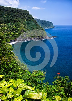 Road to hana, Maui