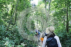 Road to Hang En cave, in the jungle, the world 3rd largest cave