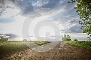 Road to the horizon. field, sky, clouds, clean air.