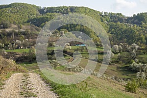 The road to an isolated village in the mountains of Banat, Romania