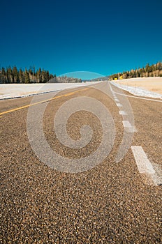 Road to Kaibab National forest in Grand canyon