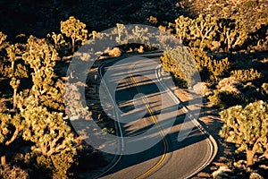 The road to Keys View, in Joshua Tree National Park, California