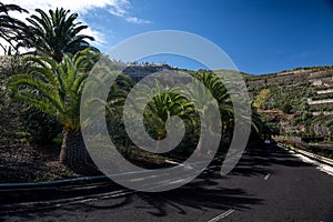 Canary Islands in the Atlantic Ocean, La Palma photo