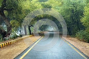 Road to lal sohanra bahawalpur, Pakistan