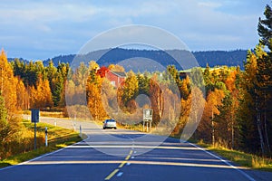 Road to Lapland in Finland.