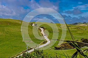 Road to the lighthouse. Manakua Heads, Auckland, New Zealand