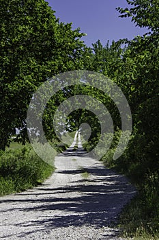 Road to the Lower Fox Creek School