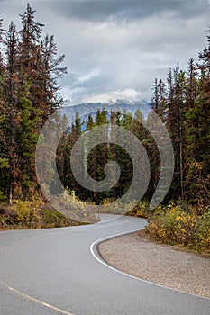 Road to Mount Edith Cavell in Jasper National Park