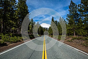 Road to Mount Shasta`s trailheads in northern California