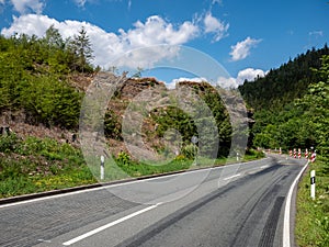 the road to the mountains forest dieback in the german