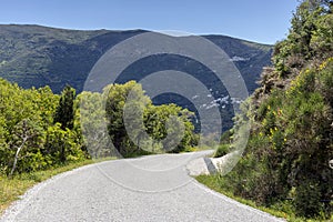 Road to the mountains near the village Andros Island, Greece, Cyclades