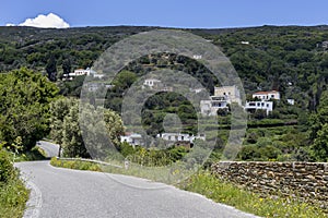 Road to the mountains near the village Andros Island, Greece, Cyclades