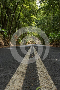 Road to nature in Australia