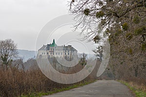 Road to Olesko castle museum in Ukraine