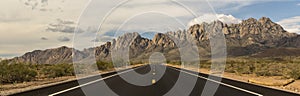 Road to the Organ Mountains