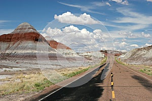 Road to painted desert