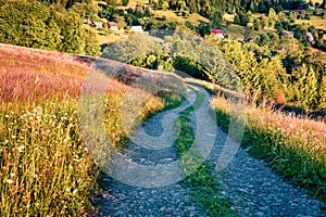 Road to picturesque romanian village - Rogojel. Colorful summer landscape of Cluj County, Romania, Europe. Beauty of nature concep