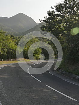 Road to pointe noire, basse terre, guadeloupe, in sunrise