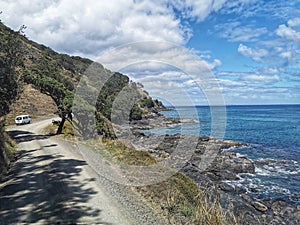 Road to Port Jackson. Coromandel. New Zealand