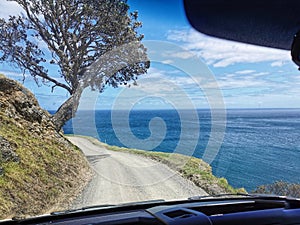 Road to Port Jackson. Coromandel. New Zealand