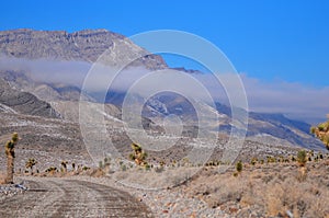 Road to racetrack playa