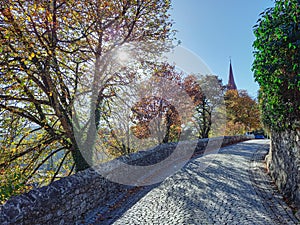 Road to the Rankweil Basilica