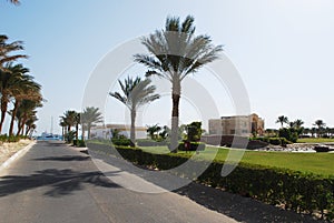 Road to sea in beautiful egyptian hotel